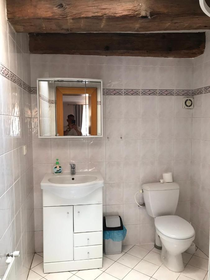 Hotel U Zlateho Andela 파르두비체 외부 사진